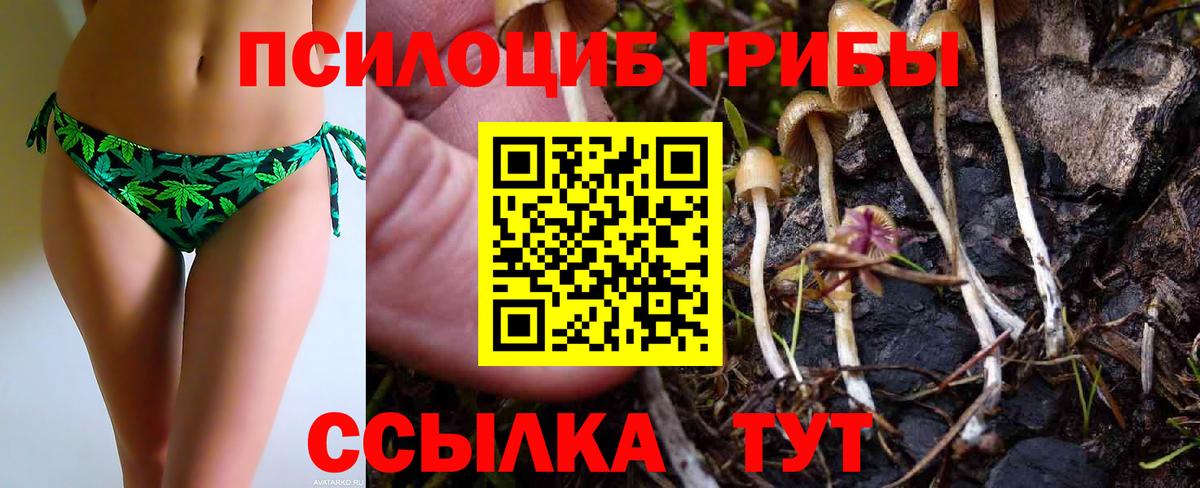 Губаха  Псилоцибиновые грибы мухоморы  Галлюциногенные грибы прущие грибы  Вход с VPN 